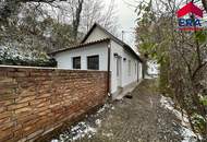 Hausbrunn MIETE - Generalsaniertes Einfamilienhaus mit Garten und Terrasse in absoluter Grünruhelage