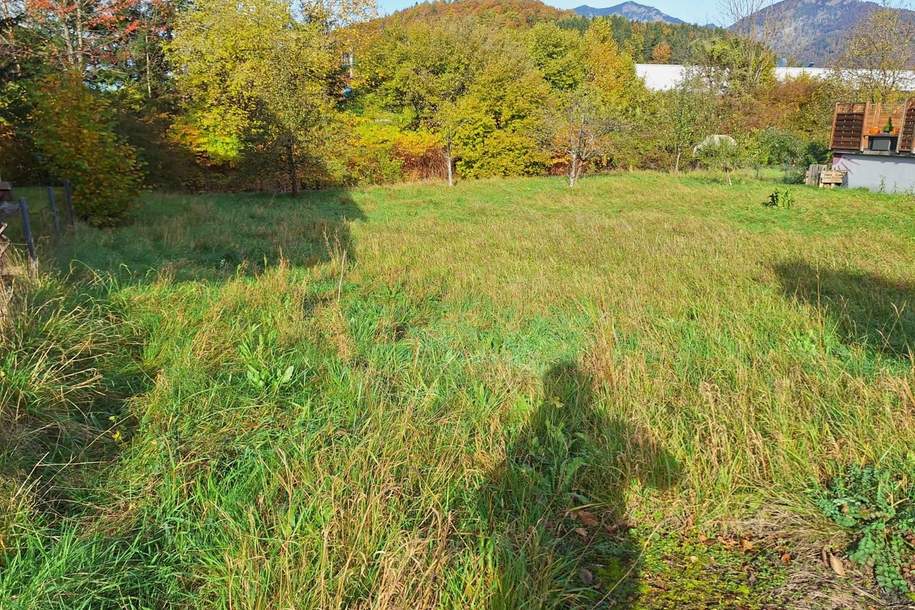 Baugrundstück in Bad Ischl – Naturidylle trifft Top-Anbindung (Privatverkauf, keine Maklergebühr!), Grund und Boden-kauf, 305.000,€, 4820 Gmunden