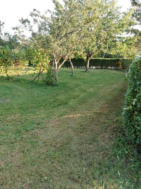 Bauen Sie hier Ihr Traumhaus!
