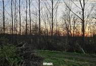 Überwiegend landwirtschaftlicher Grund mit Teilflächen in unterschiedlicher Widmung in der Ennser Kronau