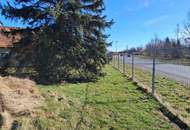 Wohnen & Arbeiten unter einem Dach – Nähe LKH Radkersburg