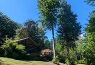 Wunderschöne Villa mit Pool und weitläufigem Grundstück, Nähe Pressbaum