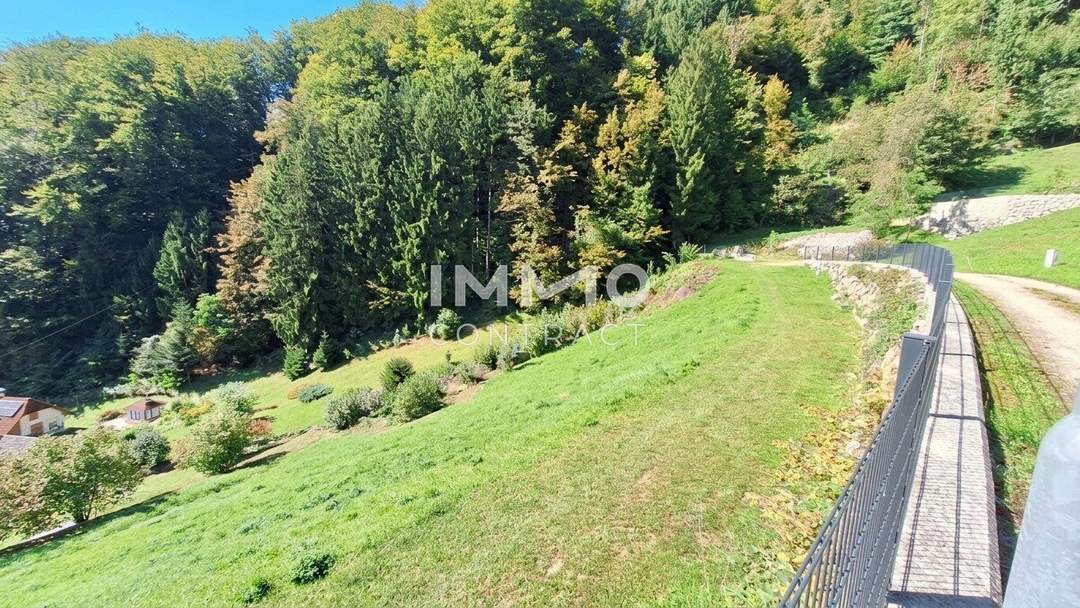Baugrund 1.177 m² mit Donaublick - Südhang - mit angrenzenden kleinen Grünland 255 m² - St. Nikola