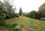 "Naturidyll" – Raum für Ideen in Goldegg!