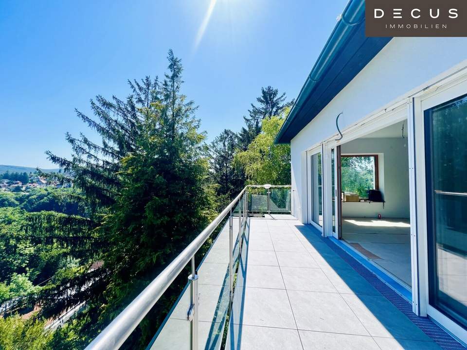 IDYLLE - EINFAMILIENHAUS IN ROMANTISCHER HANGLAGE - ERSTBEZUG NACH KOMPLETTSANIERUNG ZUM NIEDRIGENERGIEHAUS - FERNBLICK