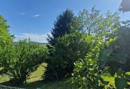 Wohnen wo andere Urlaub machen. Haus mit Nebengebäuden für Tierhaltung in traumhafter Aussichtslage im idylischen Burgenland.