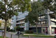 LOFT Wohnung - Nähe U2 Station Donauspital - 72 m2- neu saniert - Terrasse südseitig - mit Fernblick