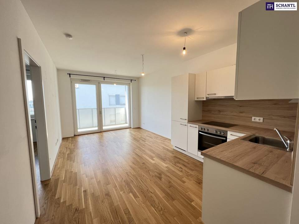 Modern, hell & mit Terrasse – 2-Zimmer-Highlight in der Gymseldorfergasse 48A