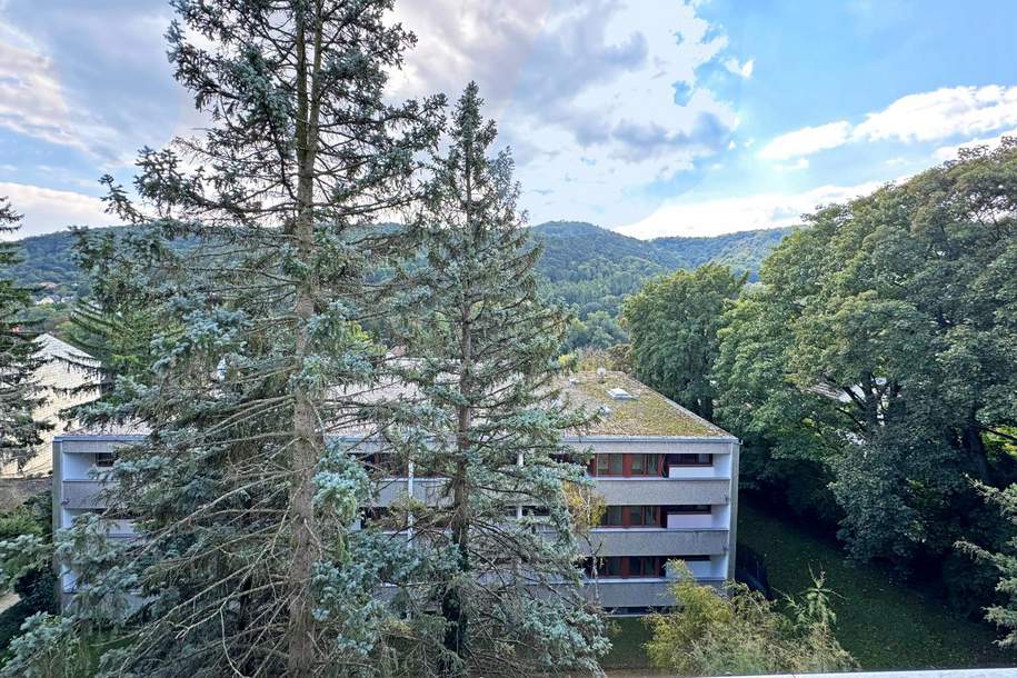 "Cooler Ausblick - Loggia und Stellplatz inklusive!", Wohnung-kauf, 190.000,€, 3400 Tulln