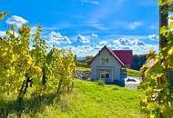 2-Zimmer Wohnung mit traumhaften Panoramablick inmitten der Weinberge von Klöch - Erstbezug!