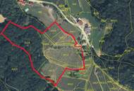 Weingarten mit Landwirtschaft in Kranach, Gemeinde Gamlitz ( ZONE III )