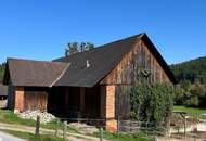 NEUER PREIS! GROSSARTIGE PFERDERANCH IN DER GRÜNEN STEIERMARK! Ihr Paradies auf dem Land: Charmanter Reiterhof in traumhafter Lage!