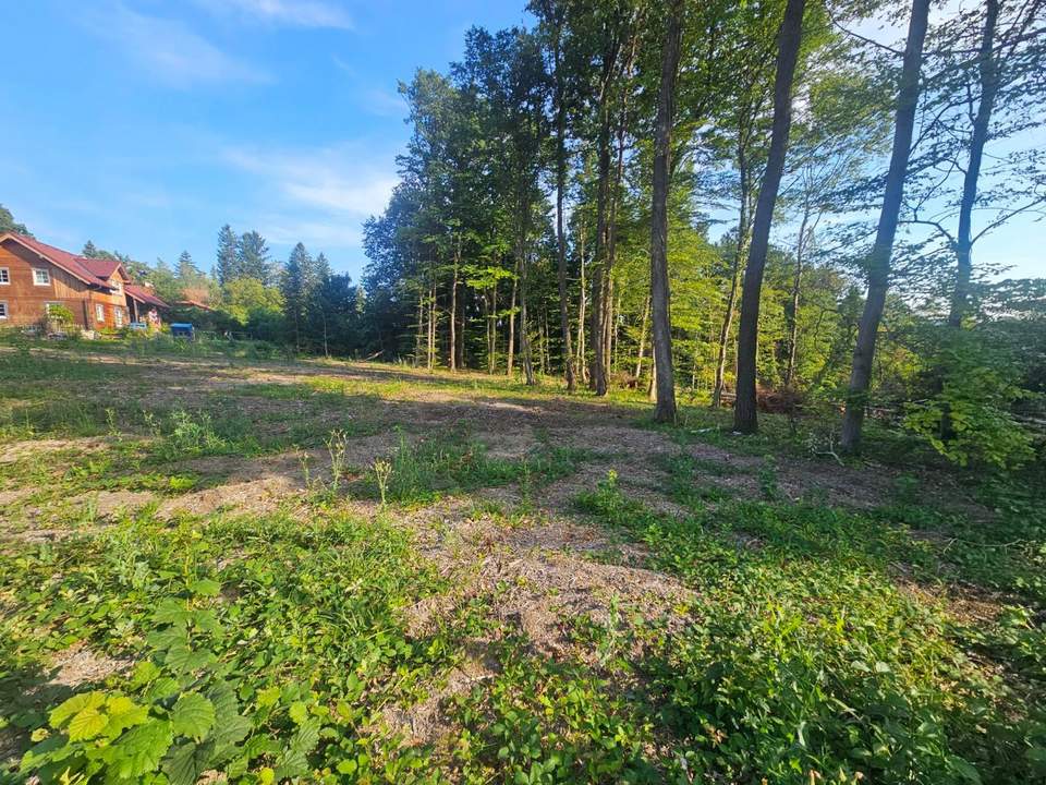 "In Kaufabwicklung!" SCHÖNES, SÜDSEITIGES GRUNDSTÜCK IN WALDRANDLAGE