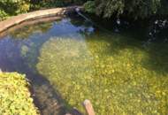 FAMILIENDOMIZIL MIT SCHWIMMTEICH