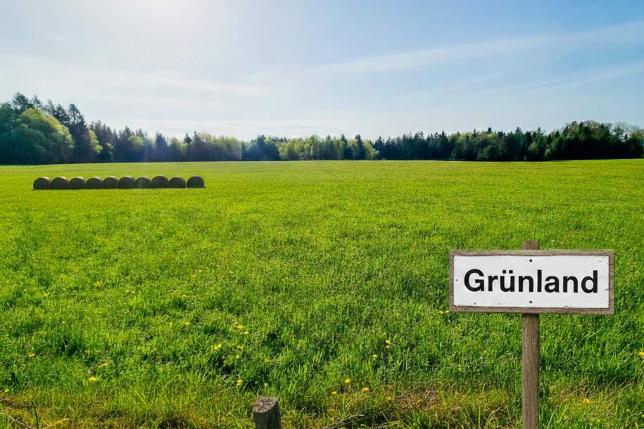 Agrar-Juwel am Haunsberg: Ebenes Grünland mit angrenzendem Waldstück, Grund und Boden-kauf, 370.000,€, 5162 Salzburg-Umgebung