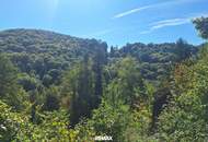 Traumhaftes Baugrundstück in Kranachberg bei Gamlitz – Ihr Platz an der Sonne