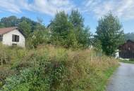 Handwerkerkönig gesucht! Abbruchobjekt, Bauland, Wiese und Wald!