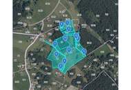 Einzigartiges Landgut im Waldviertel – 70.010 m² mit Wohnhaus, Ferienwohnungen &amp; Alpaka/Yak-Zucht