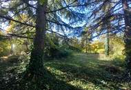 BUNGALOW AUF SONNIGEN GRUNDSTÜCK IN DER MARIA THERESIA SIEDLUNG