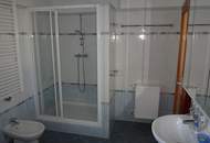 Hochheimgasse - repräsentatives Einfamilienhaus mit Garten zu vermieten