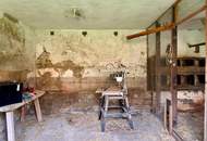 Viel Potenzial auf 756m² - Sanierung oder Neubau möglich!