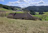Sacherl mit ca. 4,9 ha arrondiertem Wald- und Wiesengrund in idyllischer Alleinlage