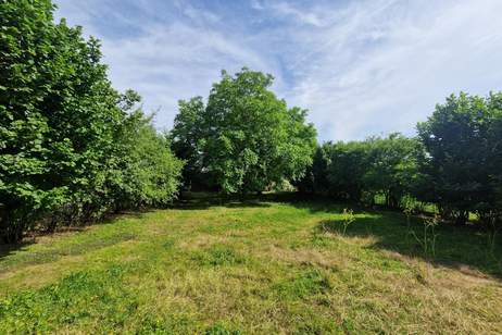 LIEBEVOLLER BUNGALOW MIT PARKÄHNLICHEM GARTEN IN TRAUMHAFTER RUHELAGE MIT HERRLICHEM GRÜNBLICK, Haus-kauf, 450.000,€, 2011 Korneuburg
