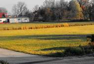 Gewerbegrundstück für Betriebe - DIREKT an der B 137 zwischen Wels und Schärding!