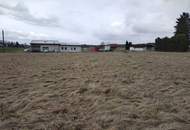 7.138 m² Gewerbegrundstück bei Gmünd – Sichtbar, bestens erreichbar und vielseitig nutzbar