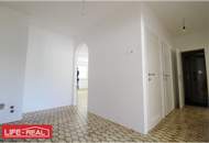 Top Wohnung im Biesenfeld