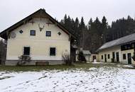 GROSSZÜGIGES LANDHAUS IN TOPZUSTAND BEI MÜRZSTEG