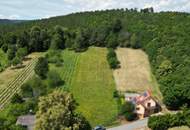Grundstück im Weingebirge Rechnitz (gemischte Kellerzone mit landwirtschaftlicher Fläche)