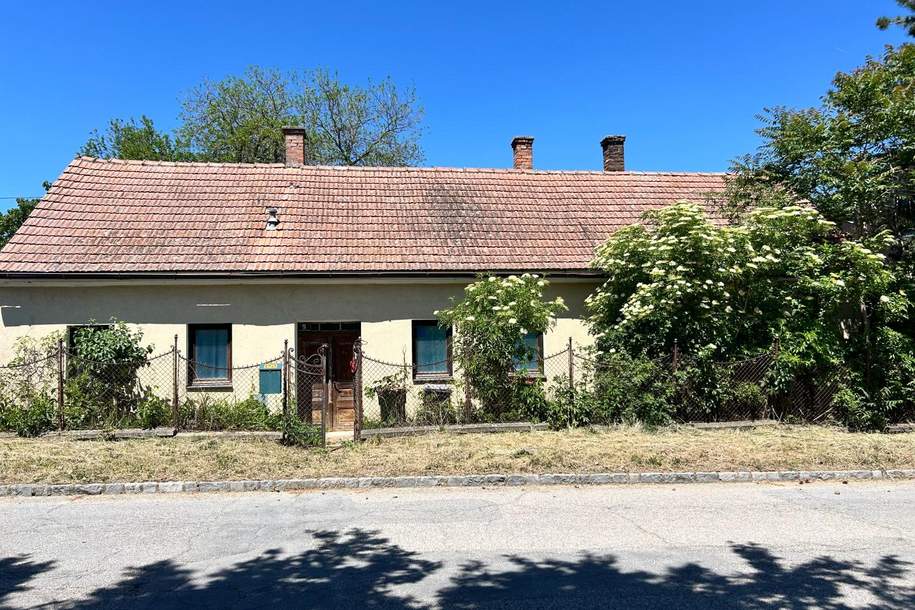Terminbuchung online! Aus Alt mach Neu – Ihr Sanierungsprojekt im Weinviertel, Haus-kauf, 42.000,€, 2265 Gänserndorf