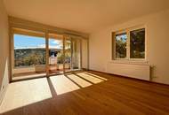 EINE DER SCHÖNSTEN LAGEN WIENS! SALMANNSDORFER ERSTBEZUG MIT 4 ZIMMERN UND GARAGE