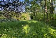 Traumhaus in 1190 Wien - 180m², 6 Zimmer, großer Garten, Balkone, Terrasse, Stellplatz uvm.
