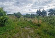 Traumhafter Grund mit Teilwidmung Reitplatz/Reitanlage - 7250 m² um nur 80.000 €!