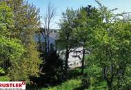 großzügiges Grundstück mit sehr gepflegtem Bestand