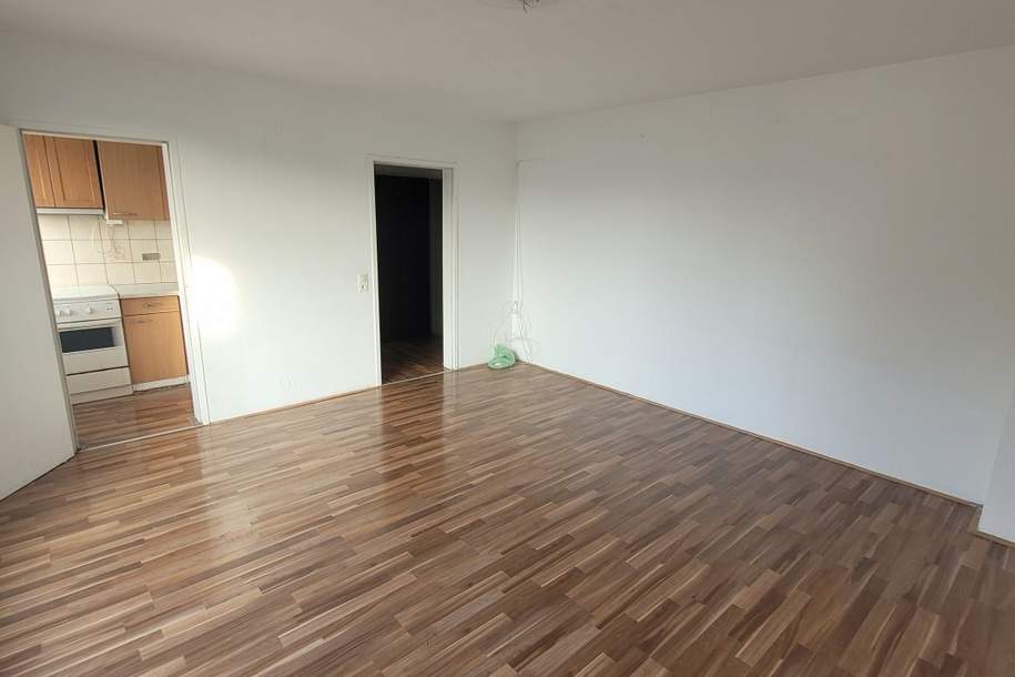 Dachterrassenwohnung beim Sonnwendviertel | Hofruhelage | Ideal für Anleger | befristet vermietet, Wohnung-kauf, 175.000,€, 1100 Wien 10., Favoriten