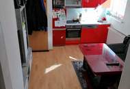 Großzügiges 8-Zimmer-MFH mit Garten, Garage &amp; Wintergarten in Strasshof – Top Lage!