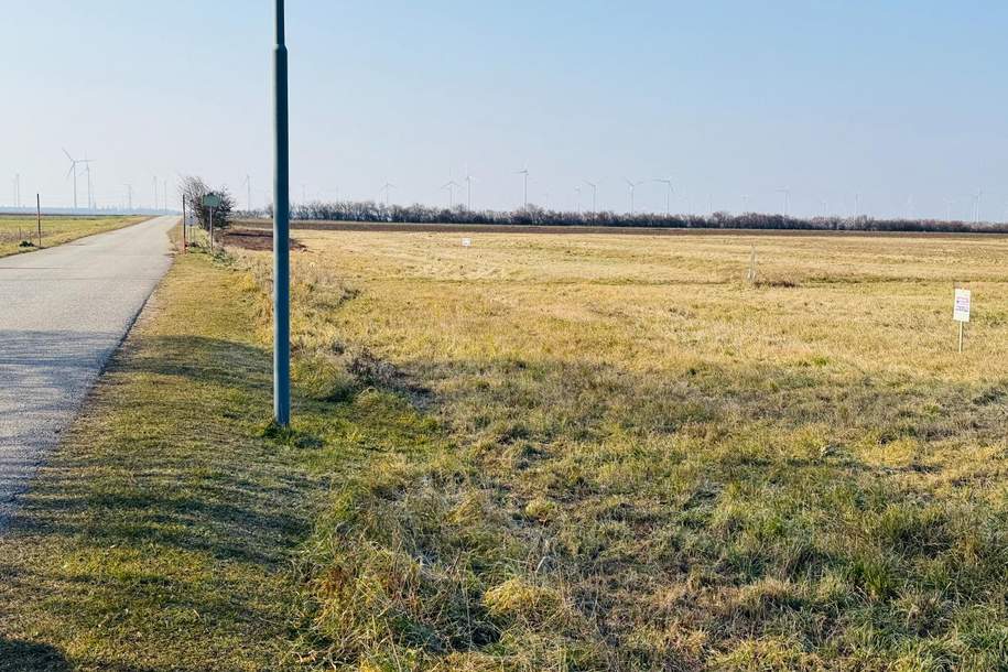 Ebenes Grundstück in attraktiver Ortsrandlage - auch teilbar, Grund und Boden-kauf, 271.260,€, 2425 Neusiedl am See