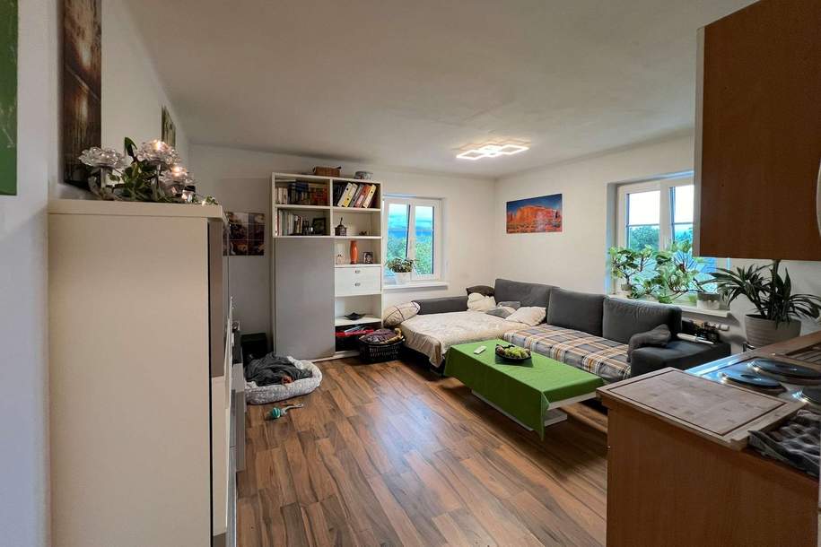Ruhige Lage im Grünen: Singlewohnung mit Parkplatz ab September zu vermieten!, Wohnung-miete, 454,50,€, 4840 Vöcklabruck