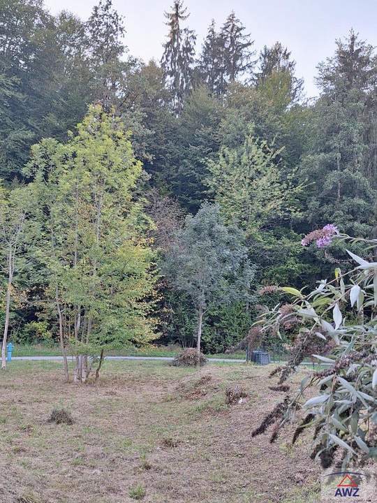 Traumhaftes Baugrundstück am Waldrand in Höf-Präbach! Ruhe, Sonne & Natur vor der Haustür!