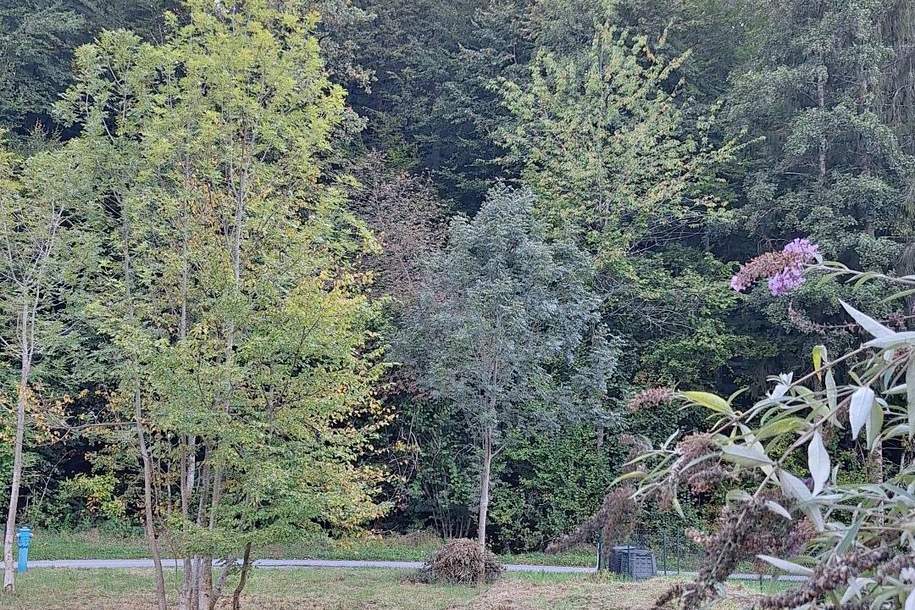 Traumhaftes Baugrundstück am Waldrand in Höf-Präbach! Ruhe, Sonne & Natur vor der Haustür!, Grund und Boden-kauf, 8063 Graz-Umgebung