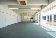 Raum für Unternehmen – Moderne Gewerbefläche in Hof bei Salzburg