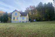 "Jahrhundertwende Stilhaus mit Wald"