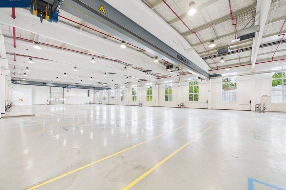 Schlüsselfertige Gewerbeliegenschaft · 9.761 m² · € 3,00/m² · Sofortbezug, Gewerbeobjekt-miete, 49.522,00,€, 3830 Waidhofen an der Thaya