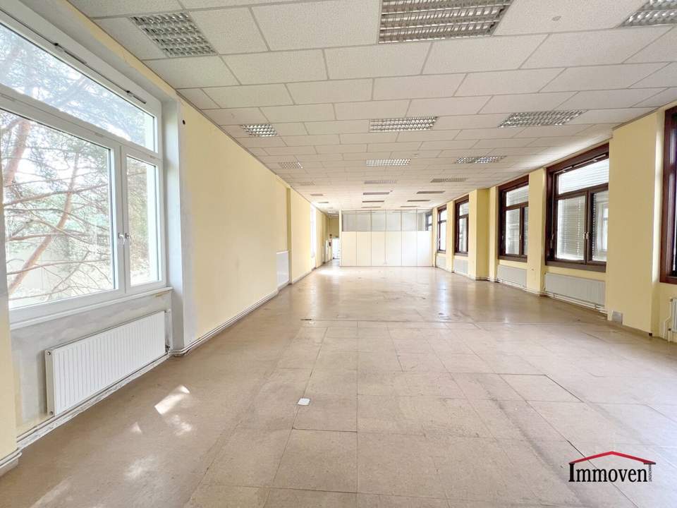 Große, sanierungsbedürftige Bürofläche in Citylage!