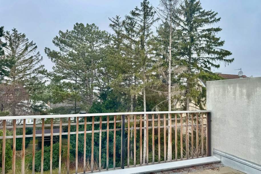 Von der Sonne geküsst! Provisionsfrei! 3 Stockwerke in top Lage!, Haus-kauf, 679.000,€, 1220 Wien 22., Donaustadt