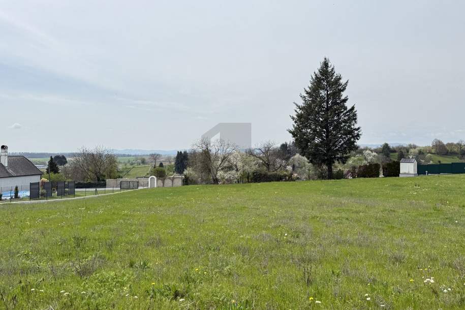 PANORAMABLICK IN TOP RUHELAGE MT SÜD-WEST AUSRICHTUNG, Grund und Boden-kauf, 128.400,€, 7323 Oberpullendorf