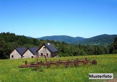 Historisches Anwesen mit Wohnhaus, alter Mühle und Sägewerk